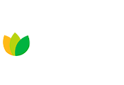 logo-prove-blanco.png